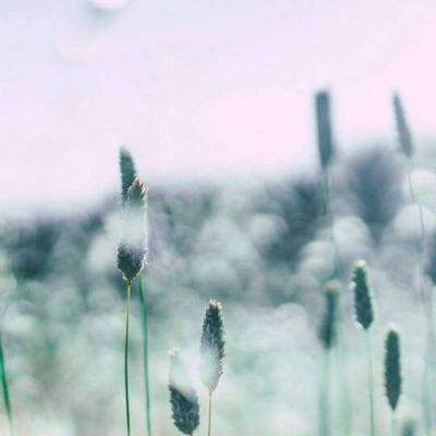 365平台官方版下载